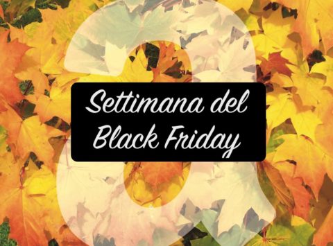 Offerte in vetrina di Amazon per la settimana del Black Friday: tra Alexa, domotica, Monitor LG, SSD e SD.