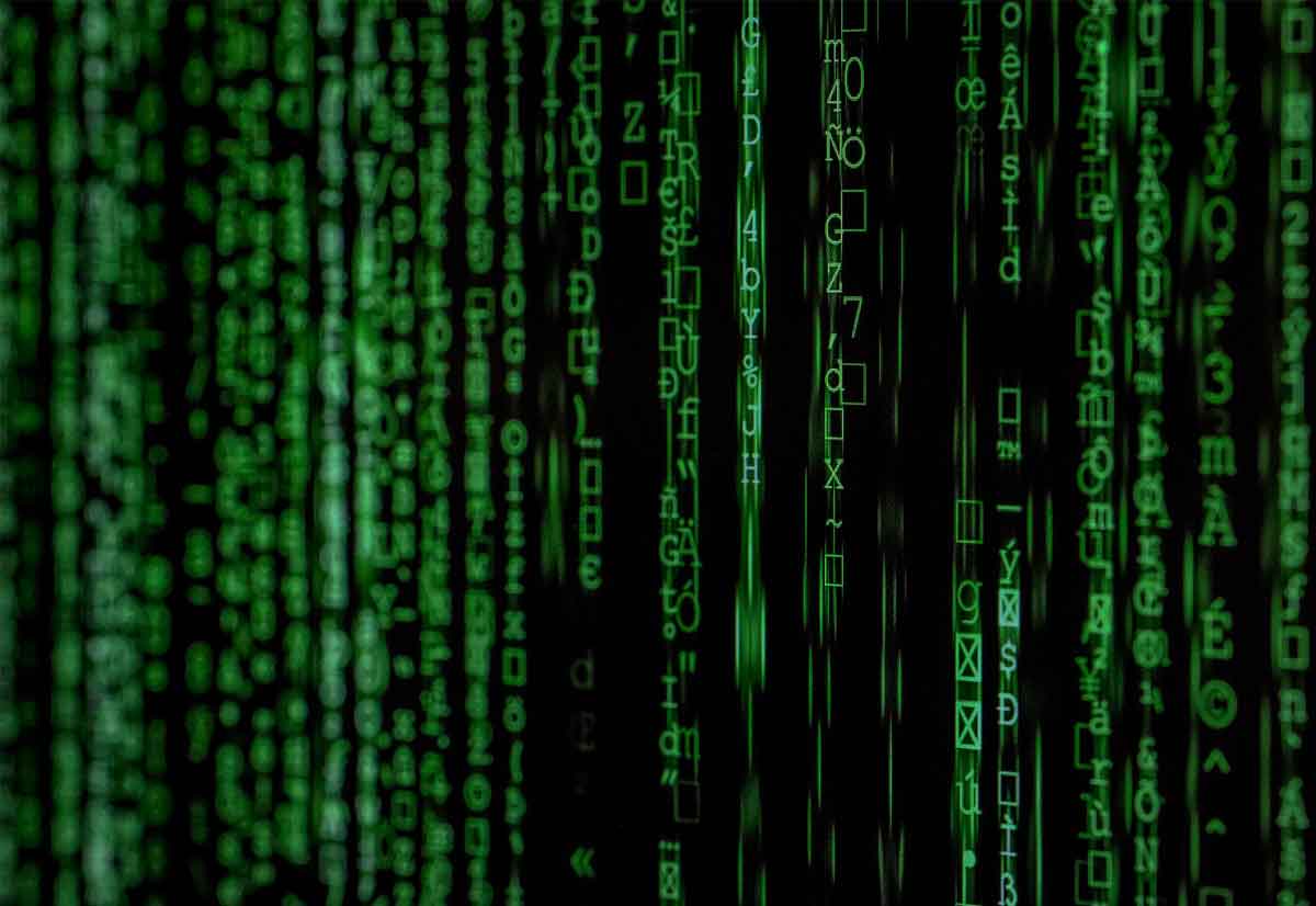 Individuate vulnerabilità che permettono di bloccare in remoto server Linux e FreeBSD
